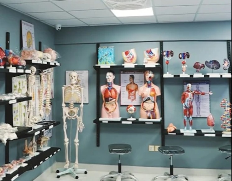 Modern Labs